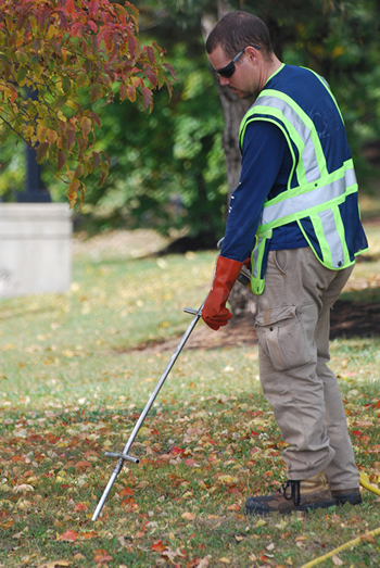 Deep Root Fertilizer